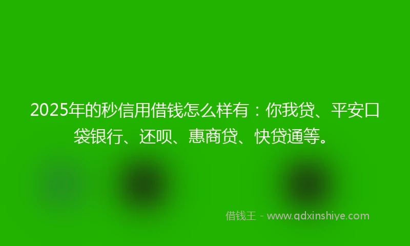 2025年的秒信用借钱怎么样有：你我贷、平安口袋银行、还呗、惠商贷、快贷通等。