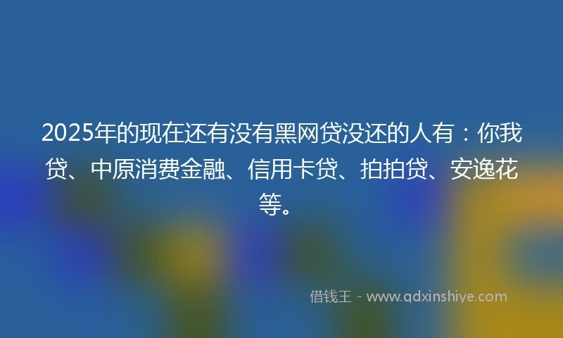 2025年的现在还有没有黑网贷没还的人有：你我贷、中原消费金融、信用卡贷、拍拍贷、安逸花等。