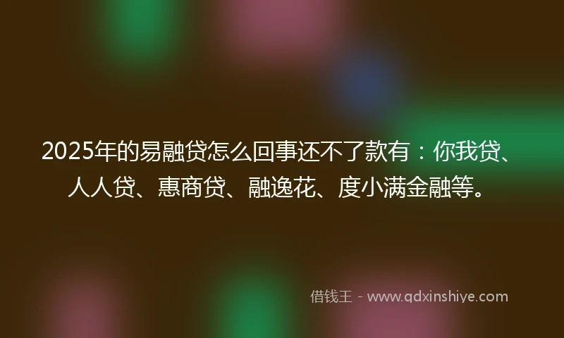 2025年的易融贷怎么回事还不了款有：你我贷、人人贷、惠商贷、融逸花、度小满金融等。