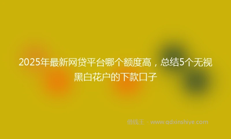 2025年最新网贷平台哪个额度高，总结5个无视黑白花户的下款口子