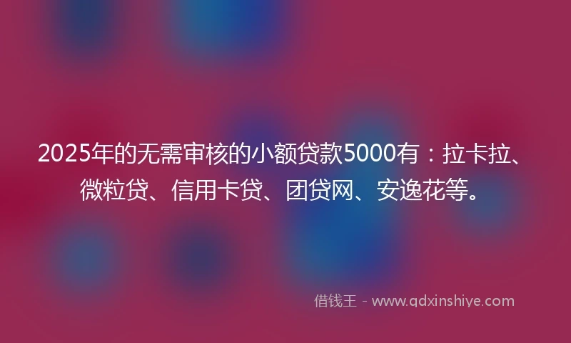 2025年的无需审核的小额贷款5000有：拉卡拉、微粒贷、信用卡贷、团贷网、安逸花等。