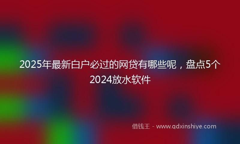 2025年最新白户必过的网贷有哪些呢，盘点5个2024放水软件