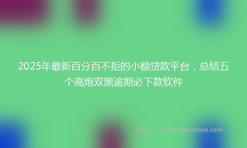 2025年最新百分百不拒的小额贷款平台，总结五个高炮双黑逾期必下款软件