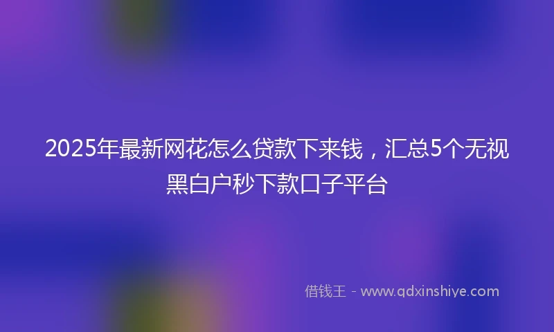 2025年最新网花怎么贷款下来钱，汇总5个无视黑白户秒下款口子平台