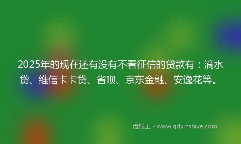 2025年的现在还有没有不看征信的贷款有：滴水贷、维信卡卡贷、省呗、京东金融、安逸花等。