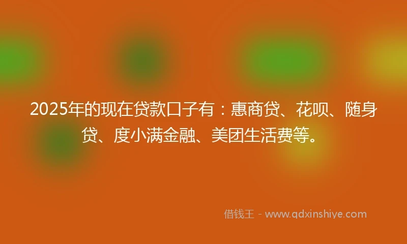 2025年的现在贷款口子有：惠商贷、花呗、随身贷、度小满金融、美团生活费等。