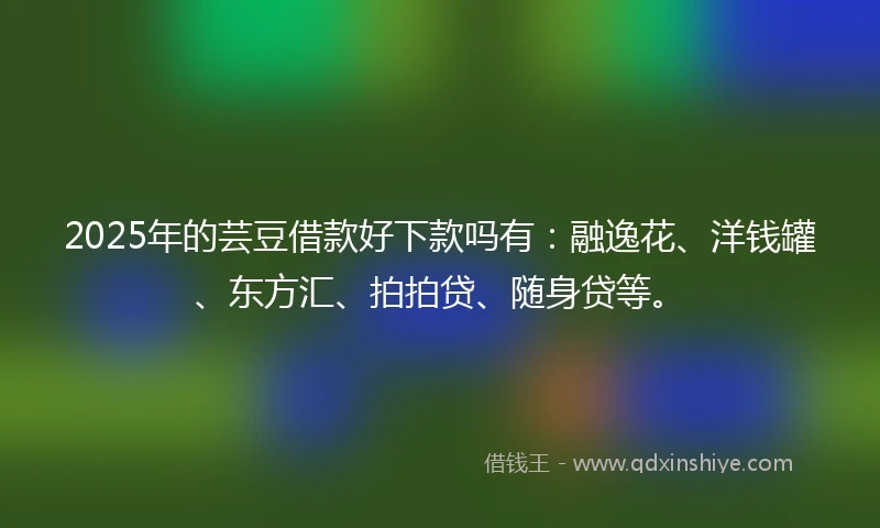 2025年的芸豆借款好下款吗有：融逸花、洋钱罐、东方汇、拍拍贷、随身贷等。