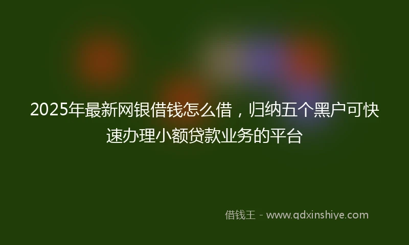 2025年最新网银借钱怎么借，归纳五个黑户可快速办理小额贷款业务的平台