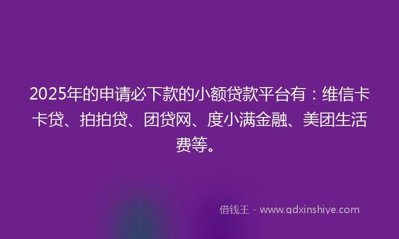 2025年的申请必下款的小额贷款平台有：维信卡卡贷、拍拍贷、团贷网、度小满金融、美团生活费等。