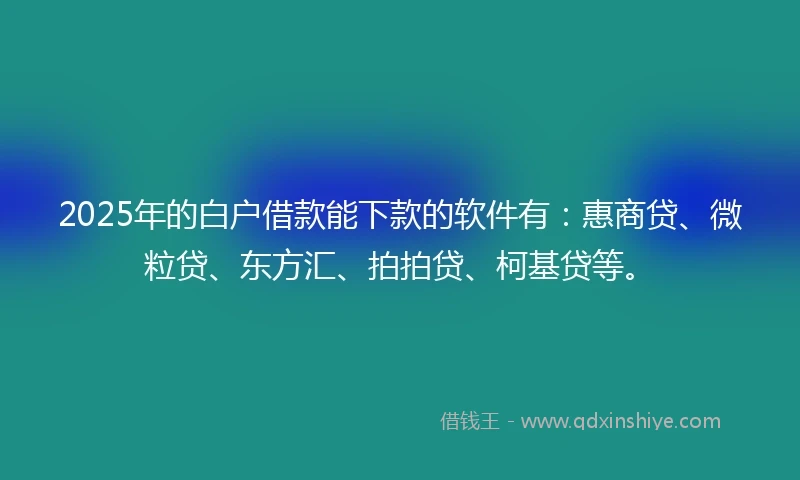 2025年的白户借款能下款的软件有：惠商贷、微粒贷、东方汇、拍拍贷、柯基贷等。