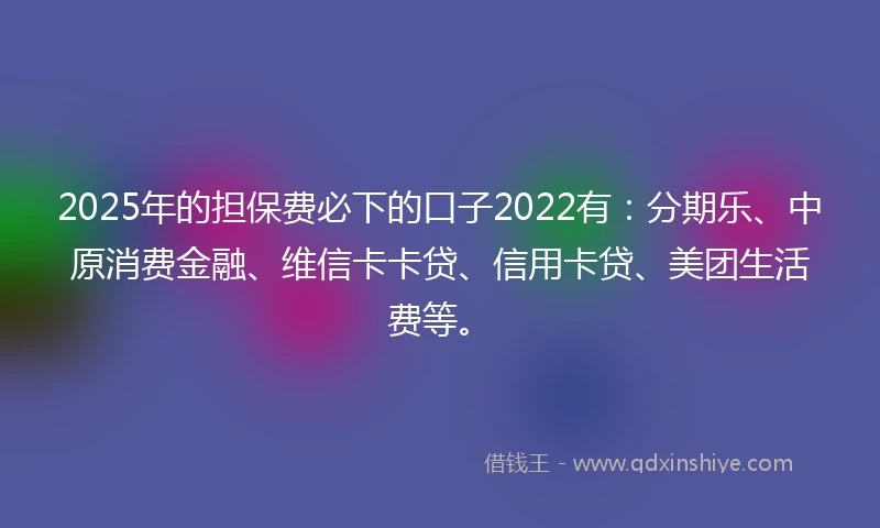 2025年的担保费必下的口子2022有：分期乐、中原消费金融、维信卡卡贷、信用卡贷、美团生活费等。