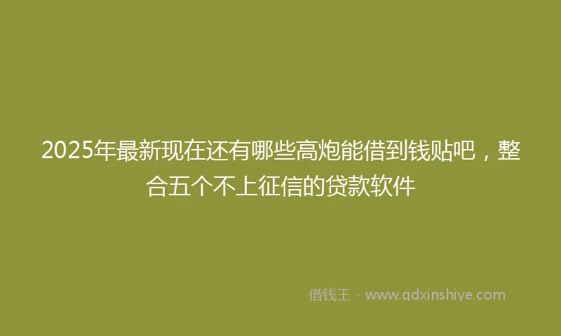 2025年最新现在还有哪些高炮能借到钱贴吧，整合五个不上征信的贷款软件