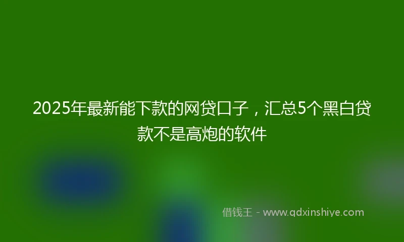 2025年最新能下款的网贷口子，汇总5个黑白贷款不是高炮的软件