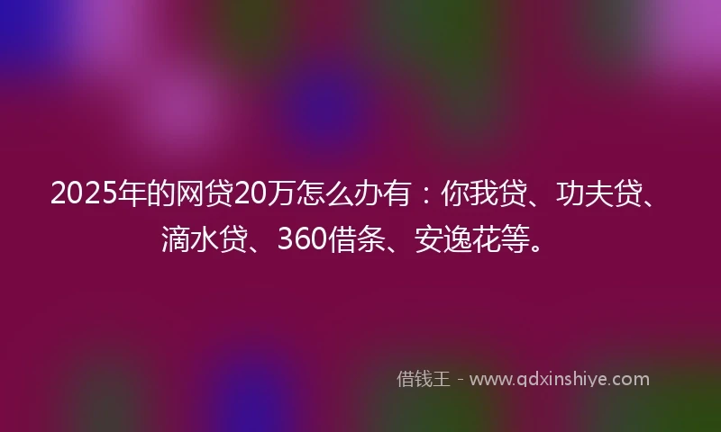 2025年的网贷20万怎么办有：你我贷、功夫贷、滴水贷、360借条、安逸花等。