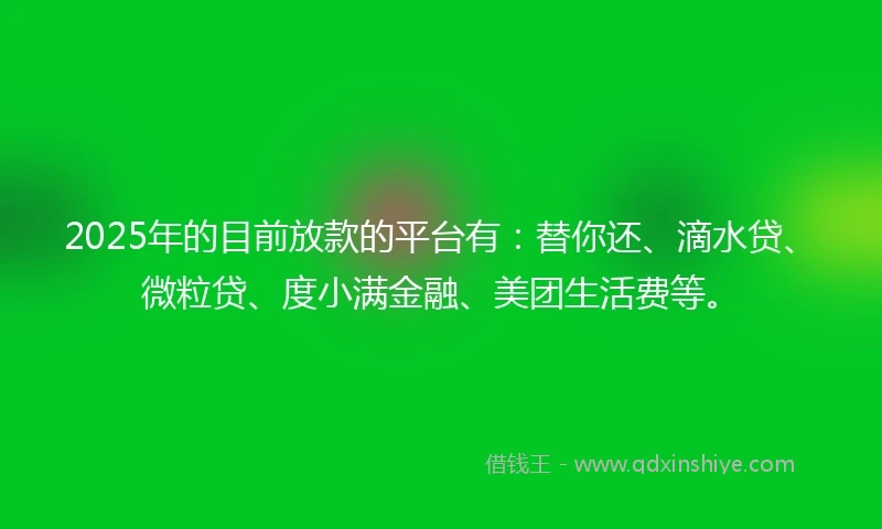 2025年的目前放款的平台有：替你还、滴水贷、微粒贷、度小满金融、美团生活费等。
