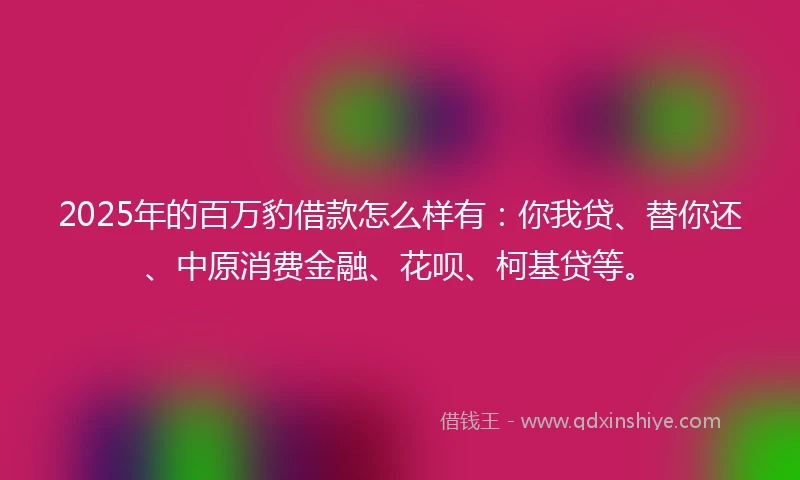 2025年的百万豹借款怎么样有：你我贷、替你还、中原消费金融、花呗、柯基贷等。