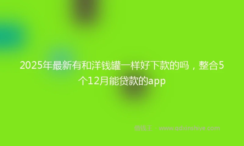 2025年最新有和洋钱罐一样好下款的吗，整合5个12月能贷款的app