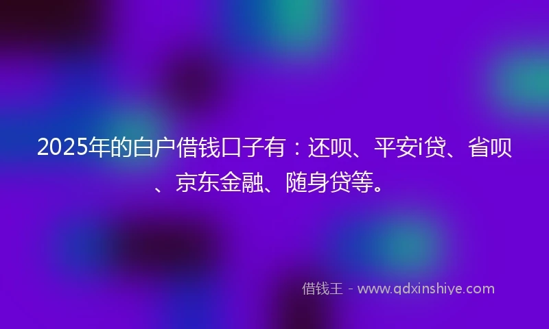 2025年的白户借钱口子有：还呗、平安i贷、省呗、京东金融、随身贷等。