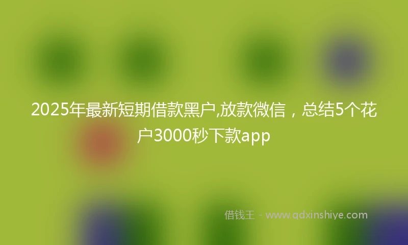 2025年最新短期借款黑户,放款微信，总结5个花户3000秒下款app