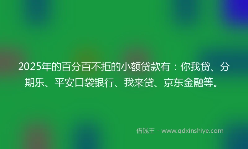 2025年的百分百不拒的小额贷款有：你我贷、分期乐、平安口袋银行、我来贷、京东金融等。