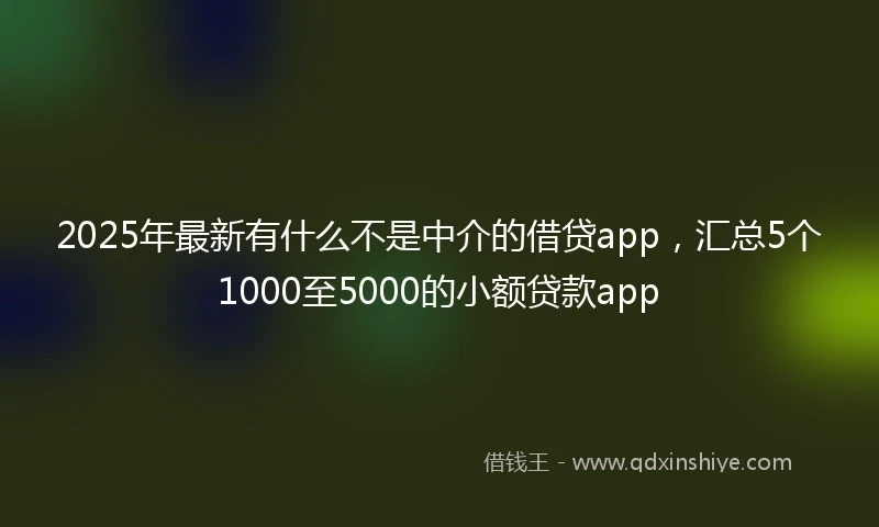2025年最新有什么不是中介的借贷app，汇总5个1000至5000的小额贷款app