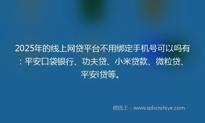 2025年的线上网贷平台不用绑定手机号可以吗有：平安口袋银行、功夫贷、小米贷款、微粒贷、平安i贷等。