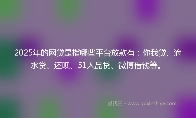 2025年的网贷是指哪些平台放款有：你我贷、滴水贷、还呗、51人品贷、微博借钱等。