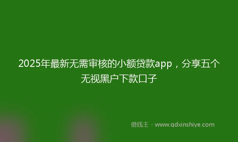 2025年最新无需审核的小额贷款app，分享五个无视黑户下款口子
