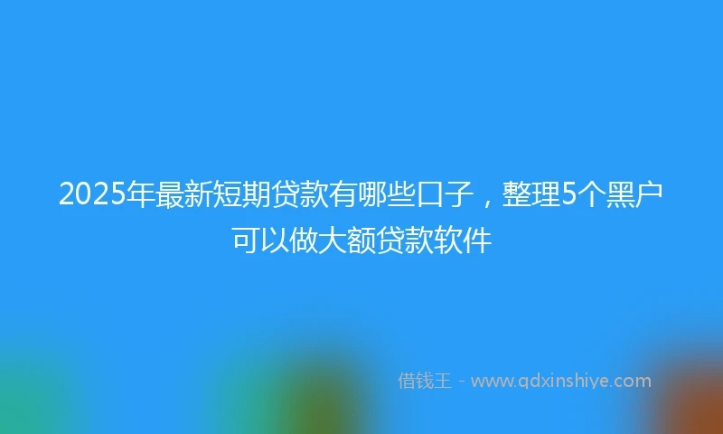 2025年最新短期贷款有哪些口子，整理5个黑户可以做大额贷款软件