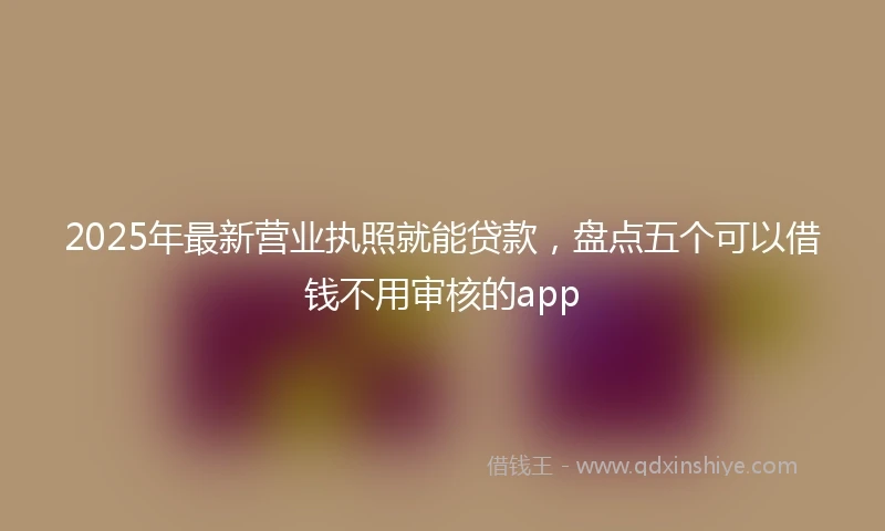 2025年最新营业执照就能贷款，盘点五个可以借钱不用审核的app