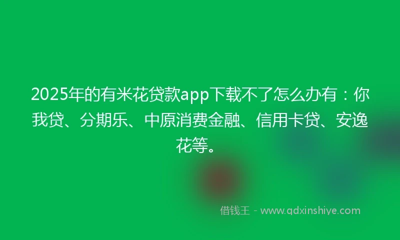 2025年的有米花贷款app下载不了怎么办有：你我贷、分期乐、中原消费金融、信用卡贷、安逸花等。