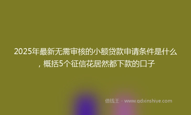 2025年最新无需审核的小额贷款申请条件是什么，概括5个征信花居然都下款的口子