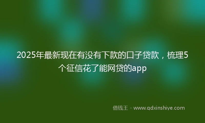 2025年最新现在有没有下款的口子贷款，梳理5个征信花了能网贷的app