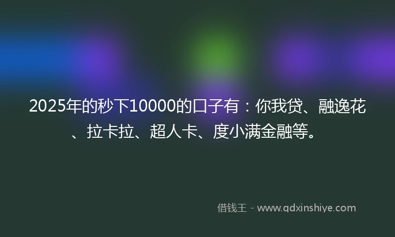 2025年的秒下10000的口子有：你我贷、融逸花、拉卡拉、超人卡、度小满金融等。