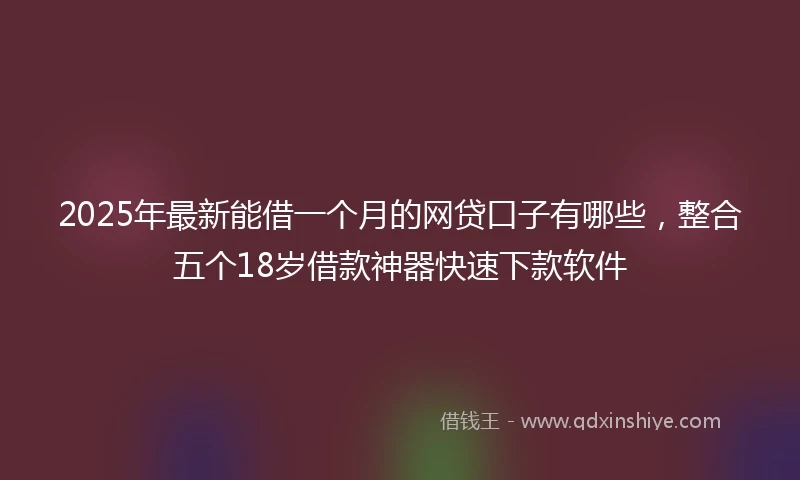 2025年最新能借一个月的网贷口子有哪些，整合五个18岁借款神器快速下款软件