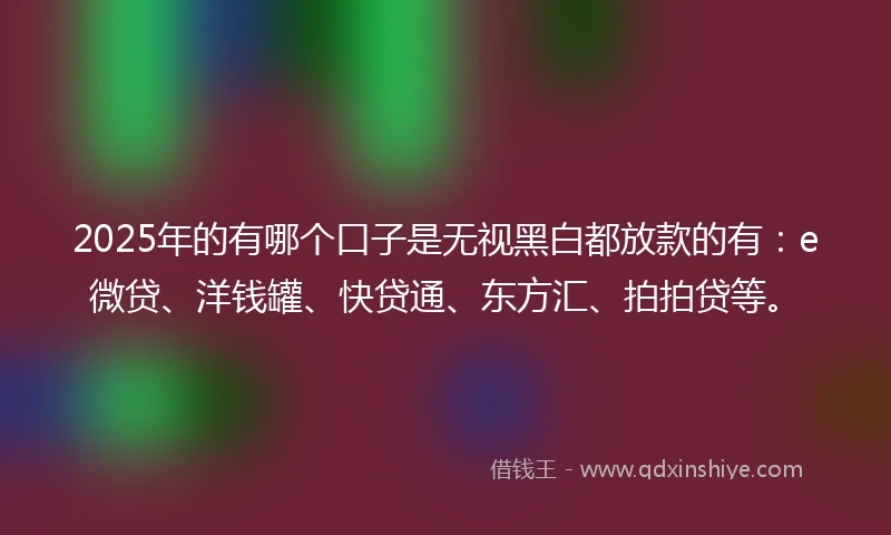 2025年的有哪个口子是无视黑白都放款的有：e微贷、洋钱罐、快贷通、东方汇、拍拍贷等。