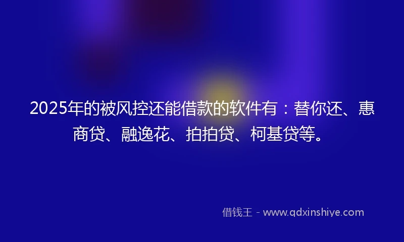 2025年的被风控还能借款的软件有：替你还、惠商贷、融逸花、拍拍贷、柯基贷等。