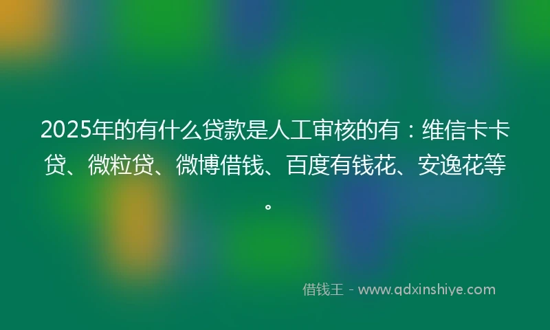 2025年的有什么贷款是人工审核的有：维信卡卡贷、微粒贷、微博借钱、百度有钱花、安逸花等。