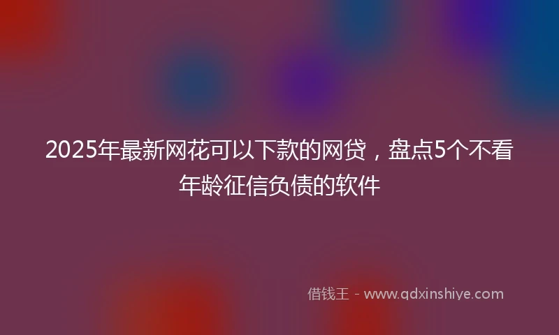 2025年最新网花可以下款的网贷，盘点5个不看年龄征信负债的软件