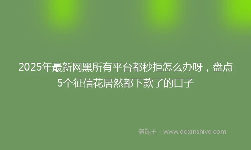 2025年最新网黑所有平台都秒拒怎么办呀，盘点5个征信花居然都下款了的口子
