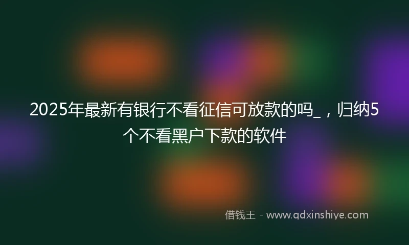 2025年最新有银行不看征信可放款的吗_，归纳5个不看黑户下款的软件