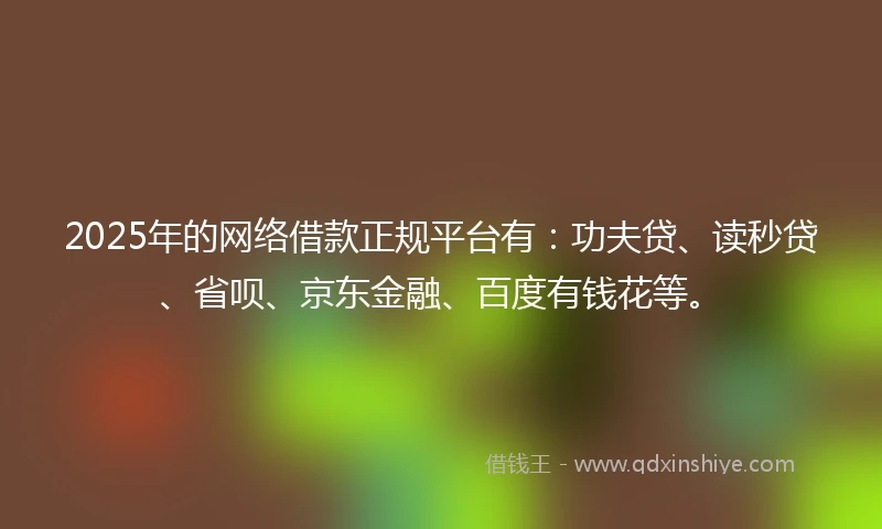 2025年的网络借款正规平台有：功夫贷、读秒贷、省呗、京东金融、百度有钱花等。