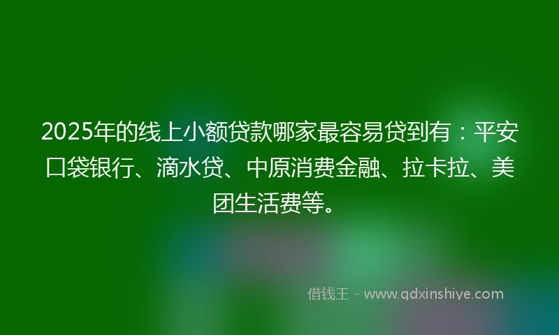 2025年的线上小额贷款哪家最容易贷到有：平安口袋银行、滴水贷、中原消费金融、拉卡拉、美团生活费等。