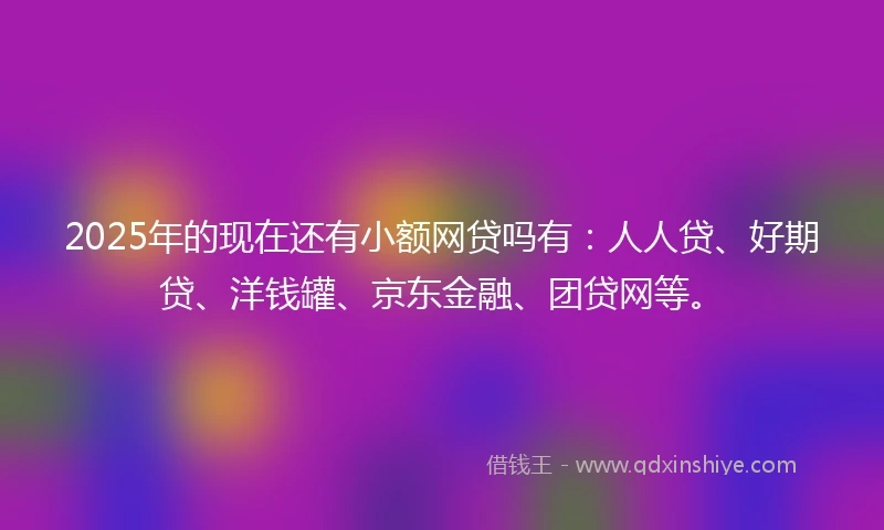 2025年的现在还有小额网贷吗有：人人贷、好期贷、洋钱罐、京东金融、团贷网等。