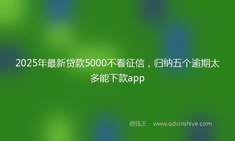 2025年最新贷款5000不看征信，归纳五个逾期太多能下款app