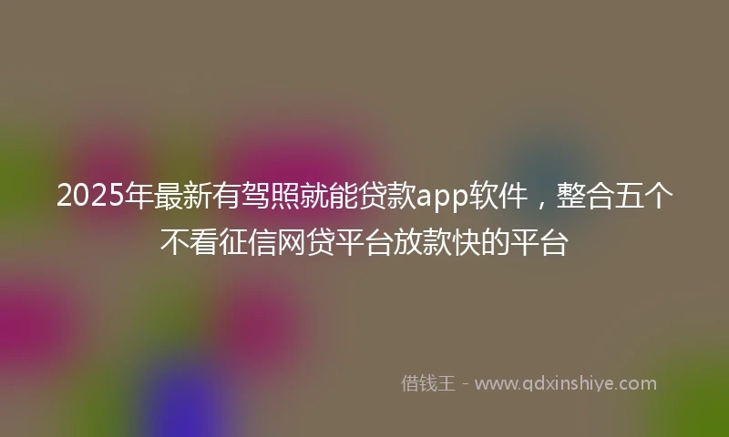 2025年最新有驾照就能贷款app软件，整合五个不看征信网贷平台放款快的平台