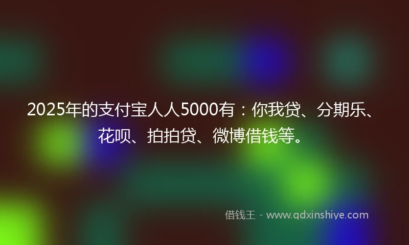 2025年的支付宝人人5000有：你我贷、分期乐、花呗、拍拍贷、微博借钱等。
