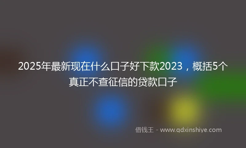 2025年最新现在什么口子好下款2023，概括5个真正不查征信的贷款口子