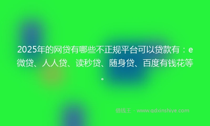 2025年的网贷有哪些不正规平台可以贷款有：e微贷、人人贷、读秒贷、随身贷、百度有钱花等。