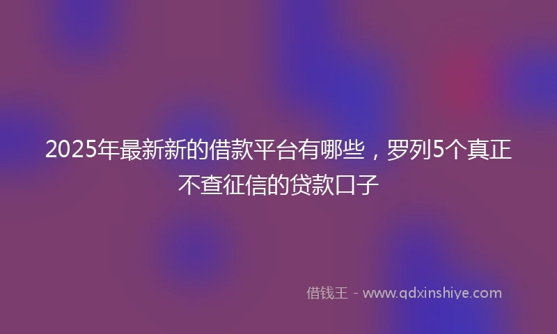 2025年最新新的借款平台有哪些，罗列5个真正不查征信的贷款口子